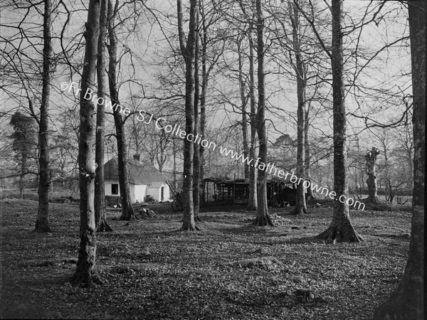 COTTAGE IN WOOD